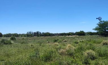 Terreno en venta - 30.000Mts2 - Estancia Benqueria, Monte