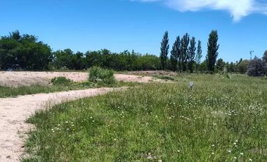 Terreno en venta - 30.000Mts2 - Estancia Benqueria, Monte