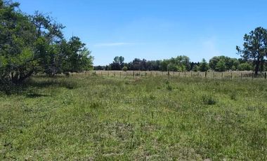 Terreno en venta - 30.000Mts2 - Estancia Benqueria, Monte