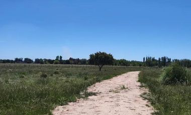 Terreno en venta - 30.000Mts2 - Estancia Benqueria, Monte