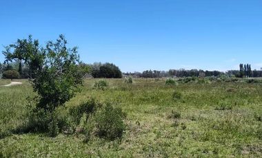 Terreno en venta - 30.000Mts2 - Estancia Benqueria, Monte