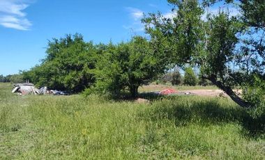 Terreno en venta - 30.000Mts2 - Estancia Benqueria, Monte