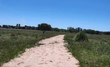 Terreno en venta - 30.000Mts2 - Estancia Benqueria, Monte