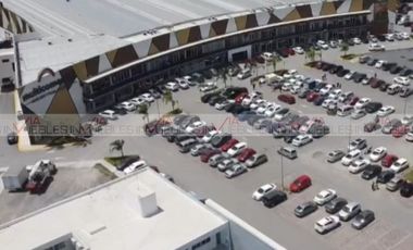 Apodaca