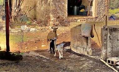 Rancho Histórico en venta en Kimbilá, Yucatán