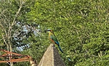 Rancho Histórico en venta en Kimbilá, Yucatán