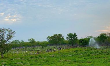 Rancho Histórico en venta en Kimbilá, Yucatán