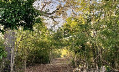 Rancho Histórico en venta en Kimbilá, Yucatán