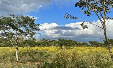 Rancho Histórico en venta en Kimbilá, Yucatán