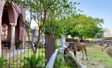 Rancho Histórico en venta en Kimbilá, Yucatán