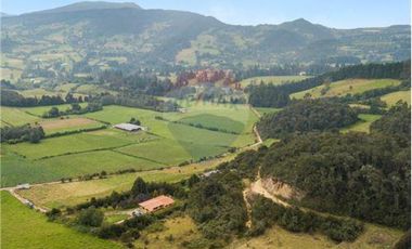 Vendo Lote en terreno semi inclinado. La Calera