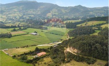 Vendo Lote en terreno semi inclinado. La Calera