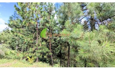 En Venta Casa Campestre San Vicente Lote de 2.700mts²