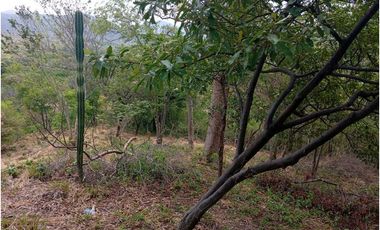 Lote Cerca Al Rio Bonda Santa Marta Colombia