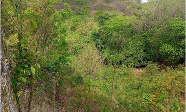Lote Cerca Al Rio Bonda Santa Marta Colombia