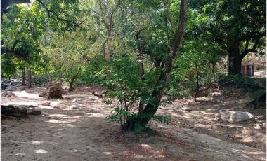 Lote Cerca Al Rio Bonda Santa Marta Colombia