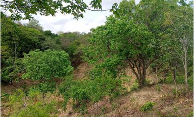 Lote Cerca Al Rio Bonda Santa Marta Colombia