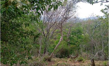 Lote Cerca Al Rio Bonda Santa Marta Colombia