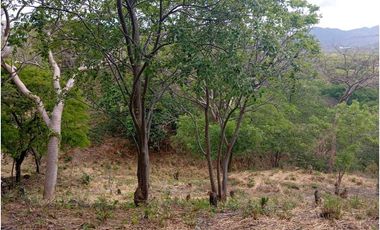 Lote Cerca Al Rio Bonda Santa Marta Colombia