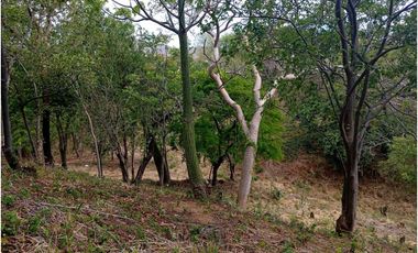 Lote Cerca Al Rio Bonda Santa Marta Colombia
