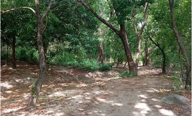 Lote Cerca Al Rio Bonda Santa Marta Colombia