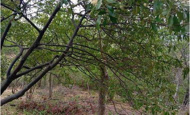 Lote Cerca Al Rio Bonda Santa Marta Colombia