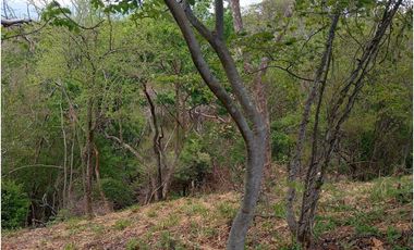 Lote Cerca Al Rio Bonda Santa Marta Colombia