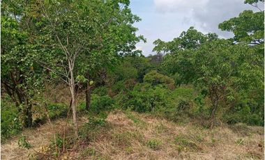 Amplio Lote Cerca Al Rio Bonda En Bonda Santa Marta Colombia