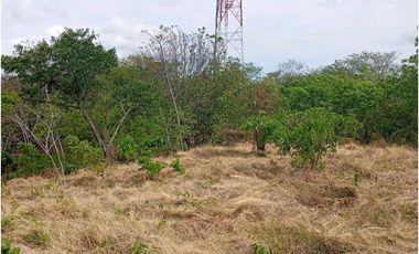 Amplio Lote Cerca Al Rio Bonda En Bonda Santa Marta Colombia