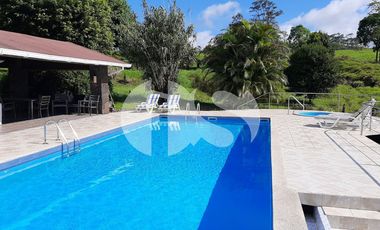 FINCA PRODUCTORA DE VENTA EN LA ISLA SANTA CRUZ, GALÁPAGOS