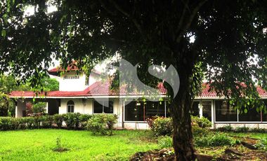 FINCA PRODUCTORA DE VENTA EN LA ISLA SANTA CRUZ, GALÁPAGOS
