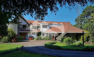 FINCA PRODUCTORA DE VENTA EN LA ISLA SANTA CRUZ, GALÁPAGOS