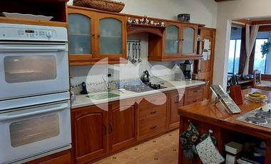 FINCA PRODUCTORA DE VENTA EN LA ISLA SANTA CRUZ, GALÁPAGOS