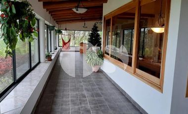 FINCA PRODUCTORA DE VENTA EN LA ISLA SANTA CRUZ, GALÁPAGOS