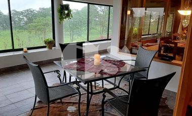 FINCA PRODUCTORA DE VENTA EN LA ISLA SANTA CRUZ, GALÁPAGOS