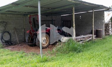 FINCA PRODUCTORA DE VENTA EN LA ISLA SANTA CRUZ, GALÁPAGOS