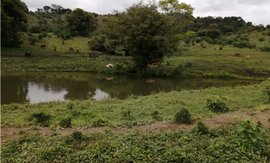 CAPIRA / CERMEÑO / FINCA / 88 HECTAREAS / 5 LAGOS