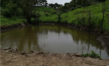 CAPIRA / CERMEÑO / FINCA / 88 HECTAREAS / 5 LAGOS