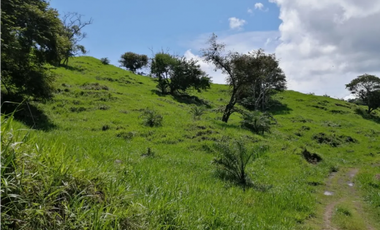 CAPIRA / CERMEÑO / FINCA / 88 HECTAREAS / 5 LAGOS