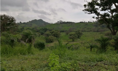 CAPIRA / CERMEÑO / FINCA / 88 HECTAREAS / 5 LAGOS