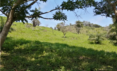 CAPIRA / CERMEÑO / FINCA / 88 HECTAREAS / 5 LAGOS