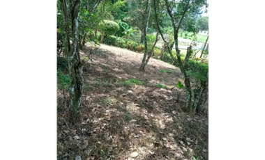 CHAME / SORA / TERRENO / 5.268M / CASA