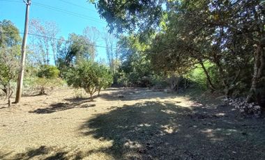 VENTA LOTE S/RIO CAPITAN 1° SECCIÓN DELTA EXCELEN