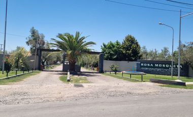 VENTA - EXCELENTE LOTE CON QUINCHO Y PILETA