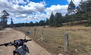 terreno en venta sierra de tapalpa para desarrolladores