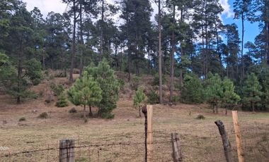 terreno en venta sierra de tapalpa para desarrolladores