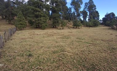 terreno en venta sierra de tapalpa para desarrolladores