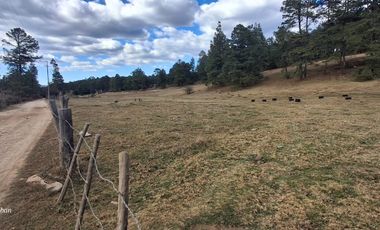 terreno en venta sierra de tapalpa para desarrolladores