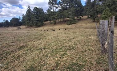 terreno en venta sierra de tapalpa para desarrolladores