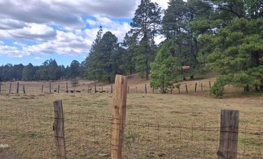 terreno en venta sierra de tapalpa para desarrolladores